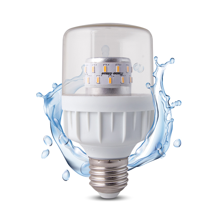 Tư vấn lắp đèn LED chiếu sáng bổ sung dành cho cây hoa cúc đạt hiệu quả cao nhất